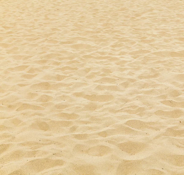 Pattern Sandy Beach Morning Footsteps — Stock Photo, Image