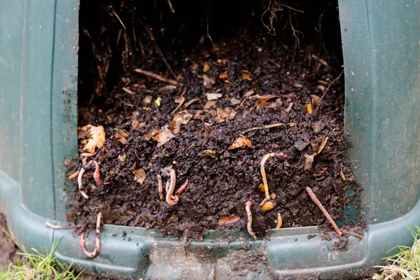 天然的 经过加工的自制堆肥在塑料桶中 有可见的土虫和废物的残余物 水平全帧合成 — 图库照片