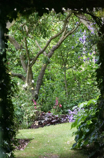 通往一个充满鲜花和杏树的秘密花园的阴荫小径 — 图库照片