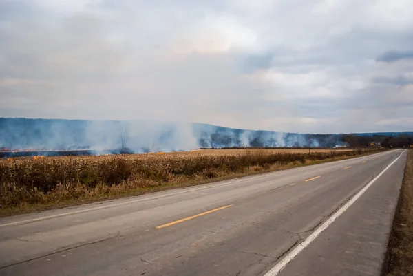 Foto Eines Kontrollierten Landwirtschaftlichen Brandes Der Nach Der Ernte Ein — Stockfoto