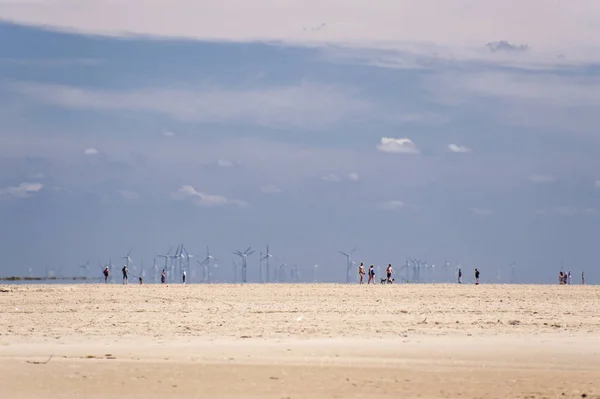 Escena Playa Peter Ording Alemania — Foto de Stock