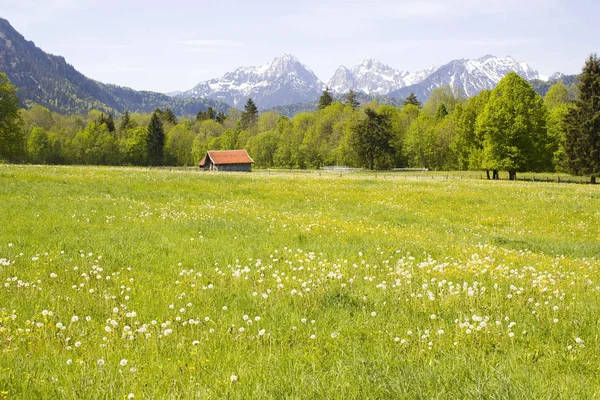 Hermoso Panorama Los Alpes Alemania — Foto de Stock