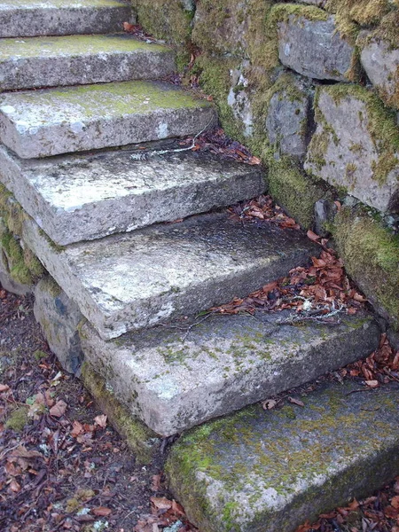 Nahaufnahme Von Steinchen — Stockfoto