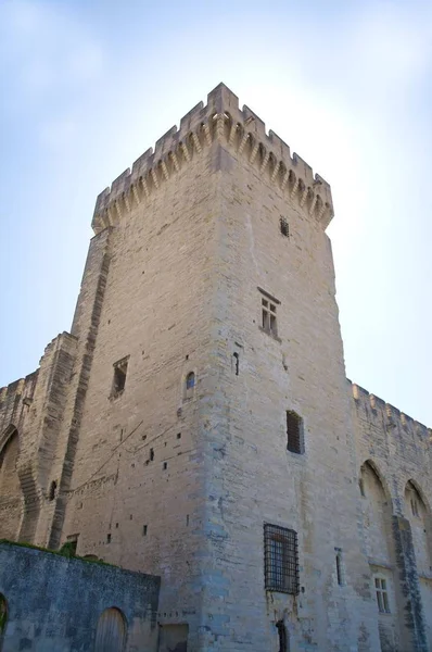 Fuori Cattedrale Castello Avignon Città Francia — Foto Stock