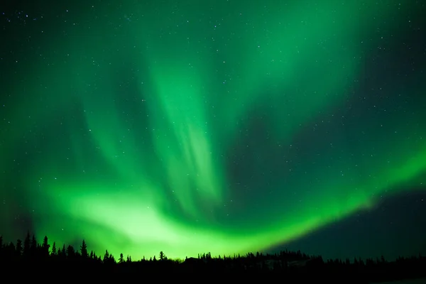 紧张的绿色北极光 北极光 在夜空中 群星环绕在加拿大育空地区的北方森林针叶林上空 — 图库照片