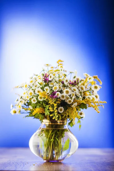 Bouquet Fiori Campo Vaso Vetro Sfondo Blu — Foto Stock