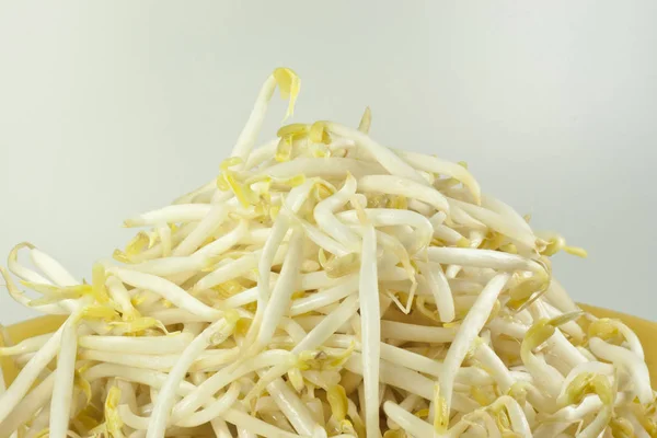 Bean Sprouts Main Ingredient Menu Noodle Thailand — Stock Photo, Image