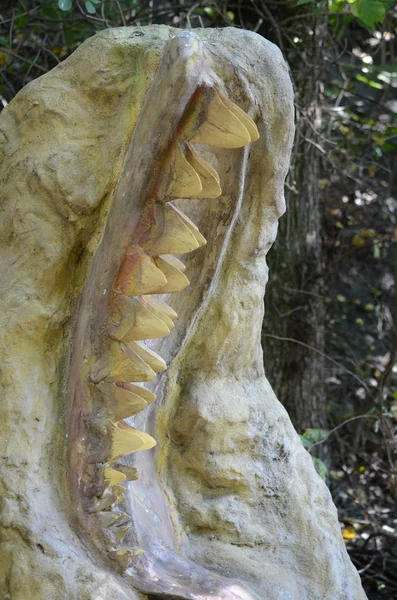 Nahaufnahme Von Megallodon Zähnen — Stockfoto