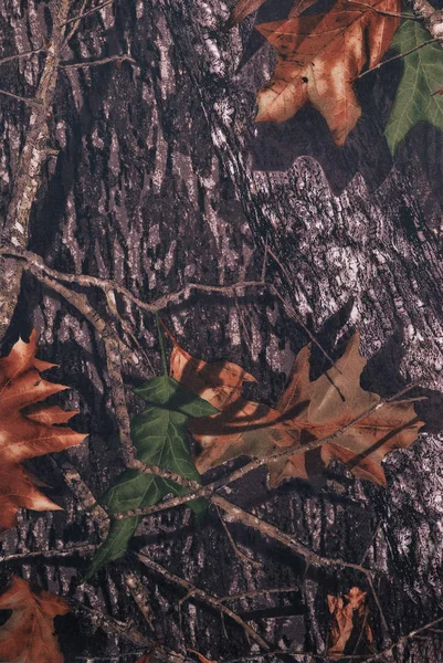 Лісова Камуфляжна Тканина Вертикальній Орієнтації — стокове фото