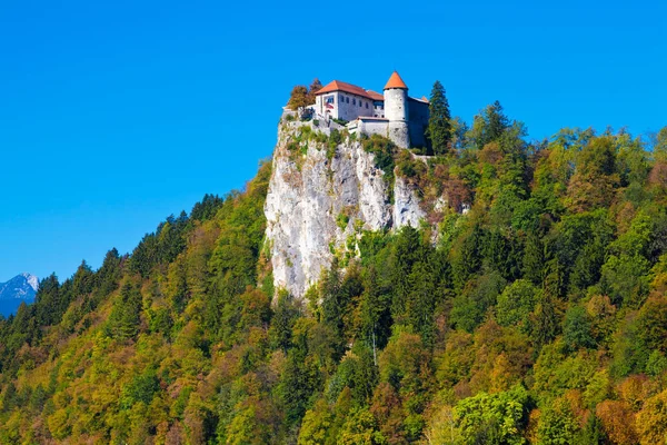 Castelo Acima Cidade Bled Eslovénia — Fotografia de Stock