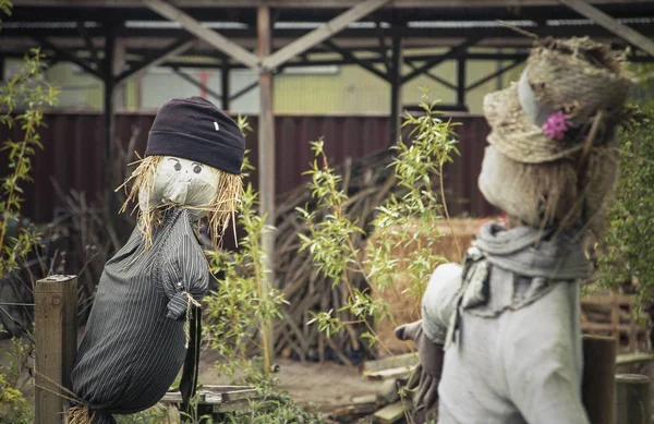 Two scarecrows made of straw and dressed in old clothes and hats outside a barn