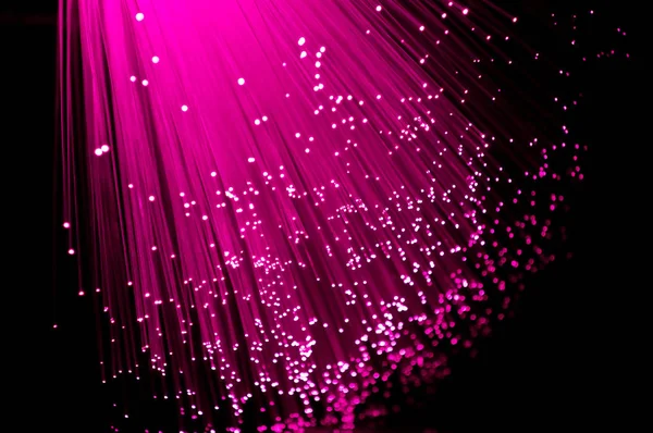 Close Ends Many Illuminated Vibrant Pink Fibre Optic Strands Black — Stock Photo, Image
