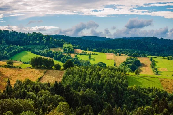 폴란드 Bieszczady 풍경입니다 여름에 폴란드 Bieszczady 범위입니다 폴란드 — 스톡 사진