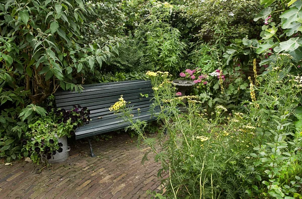 Lantlig Trädgård Med Bänk Och Massor Blommor Sommaren — Stockfoto