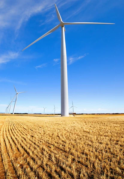 南澳大利亚农村的风力发电场 — 图库照片