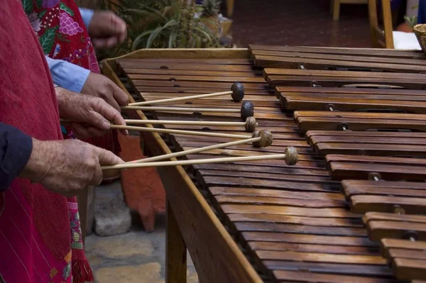 Gracze Marimba Grających Chiapas Meksyku — Zdjęcie stockowe