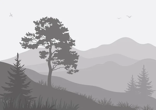 山风景用松树和冷杉和小鸟 灰色剪影 — 图库照片