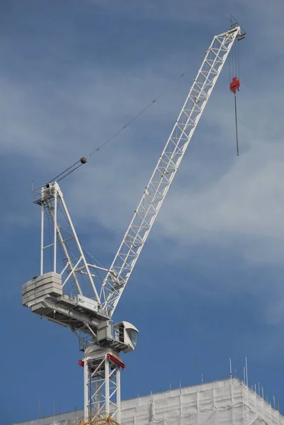 Witte Kraan Onderscheidt Zich Van Lucht Maar Komt Heel Goed — Stockfoto