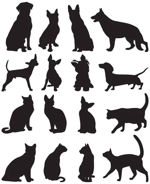 Ensemble Vectoriel Silhouettes Chats Chiens — Photo