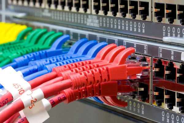 Comutator Rețea Cabluri Ethernet Utp — Fotografie, imagine de stoc
