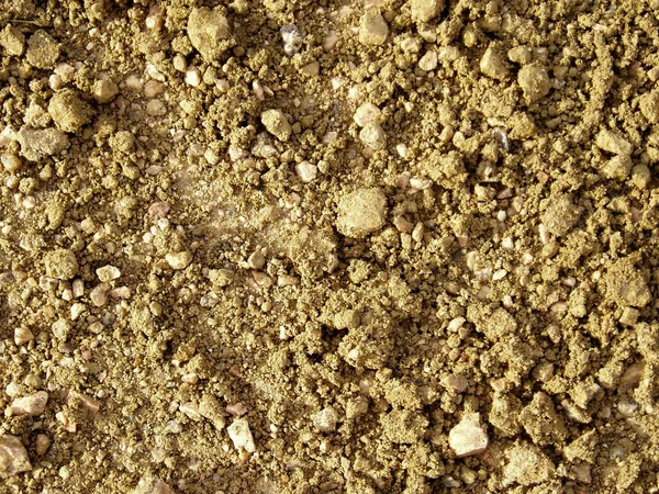 Έξτρα Βαρύ Σιτάρι Άμμου Κοντά — Φωτογραφία Αρχείου
