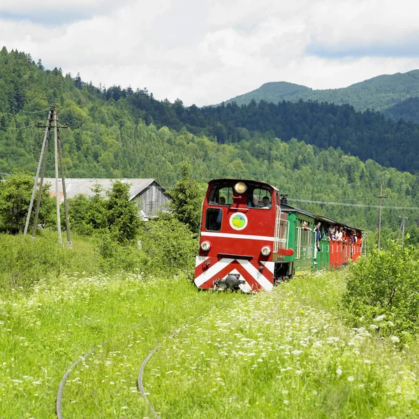 Chemin Fer Bois Bieszczadska Dolzyca Przyslup Pologne — Photo