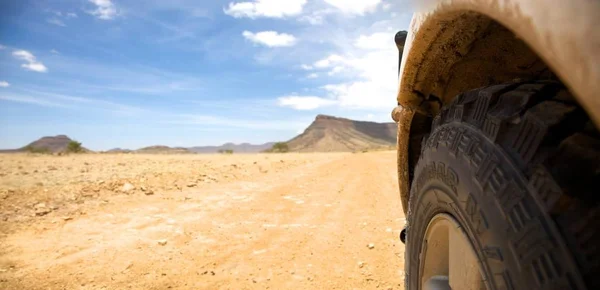 Detalhe Uma Roda Deserto Namíbia — Fotografia de Stock