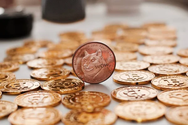 Digitale Valuta Fysieke Metalen Dogecoin Munt Gouden Bitcoins Goud Geld — Stockfoto