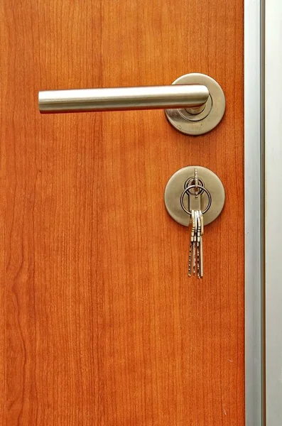Modren Style Door Handle Natural Wooden Door — Stock Photo, Image
