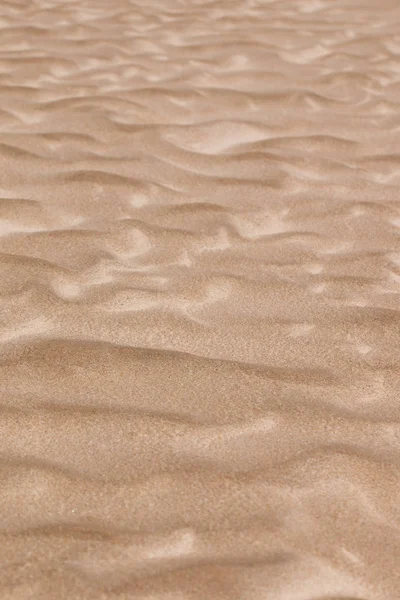Вид Хвилястий Який Пісок Сонячному Пляжі — стокове фото
