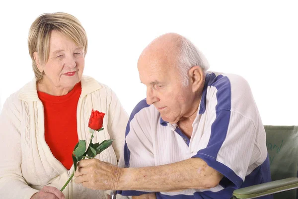 残疾老人给妻子一朵玫瑰 — 图库照片