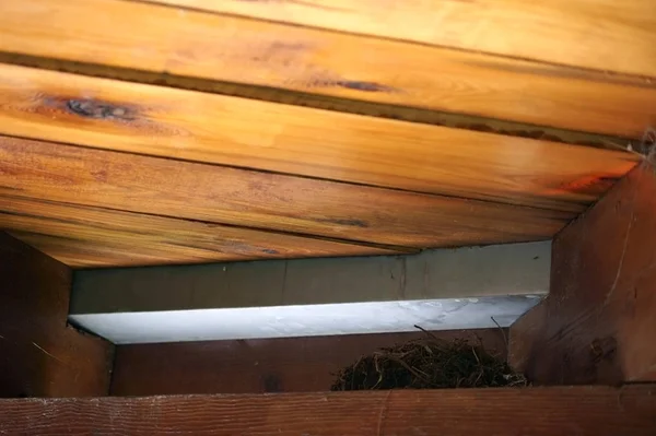 The photograph of a birds nest under the roof.