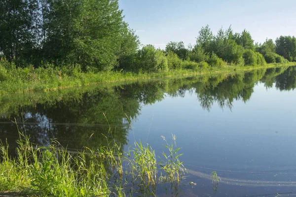 Ранок Озері Ранок Озеро Тишина Піднімається Красиво Розсипаний — стокове фото