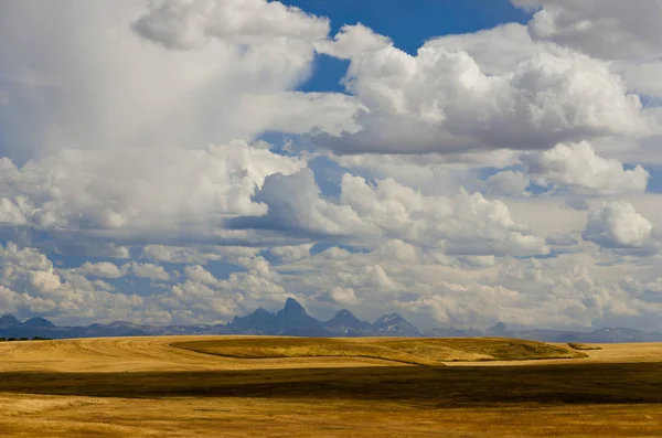 Роликовые Поля Горы Тетон Небо Полное Облаков Округ Тетон Идахо — стоковое фото