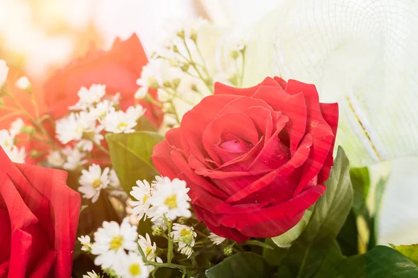 Закрыть Цветущий Букет Красных Роз Копировальным Пространством — стоковое фото