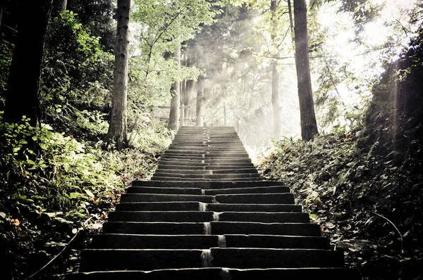 Escaleras Parque Nacional Zhnagjiajie — Foto de Stock