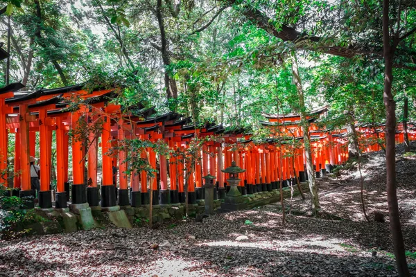 Santuário Fushimi Inari Taisha Torii Kyoto Japão — Fotografia de Stock