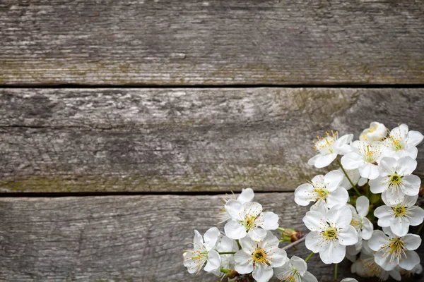 Jarní Pozadí Třešňových Květů Dřevěný Stůl Pohled Shora — Stock fotografie