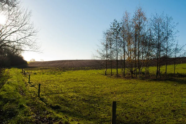 Groene Zomer Landschap Van Open Velden Heuvels Schilderachtig Uitzicht Afbeelding — Stockfoto