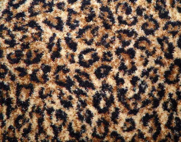 Guepardo Texturizado Precioso Coloreado Estampado Leopardo — Foto de Stock