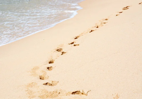 Playa Tropical Con Huellas Arena Blanda Provincia Del Sur Sri — Foto de Stock