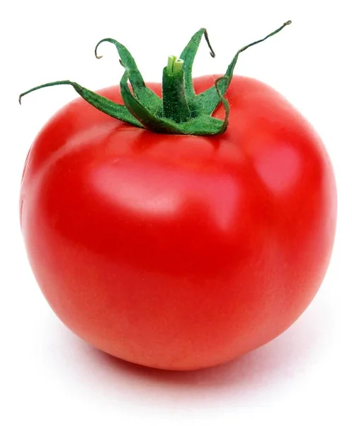 Einzelne Tomate Isoliert Auf Weißem Hintergrund — Stockfoto