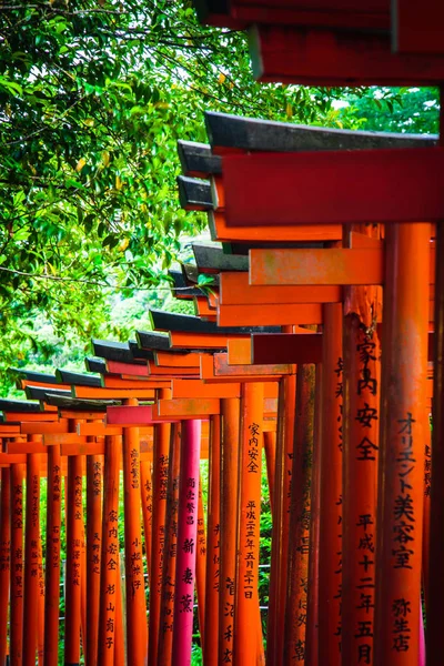 Torii Santuário Xintoísmo Tóquio — Fotografia de Stock