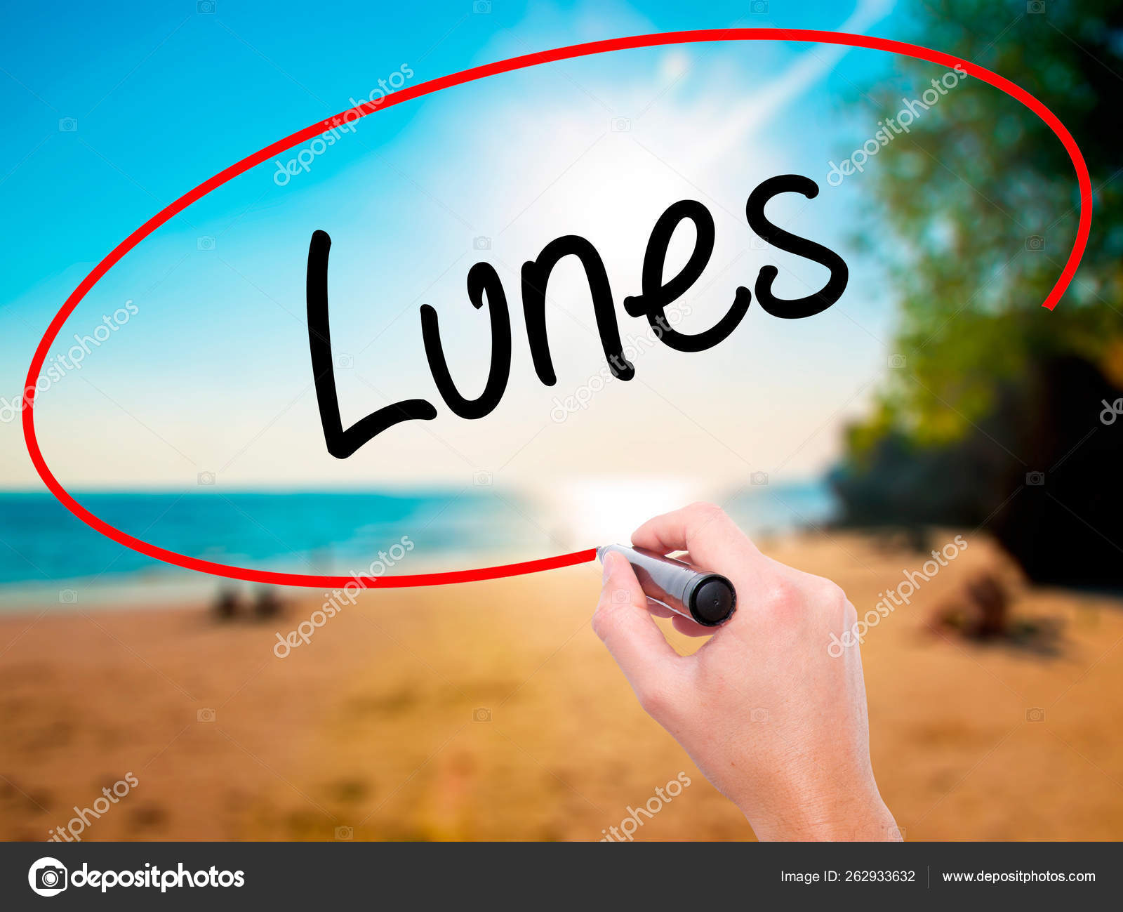 Man Hand Writing Lunes Monday Spanish Black Marker Visual Screen Stock Photo Image By C Yayimages