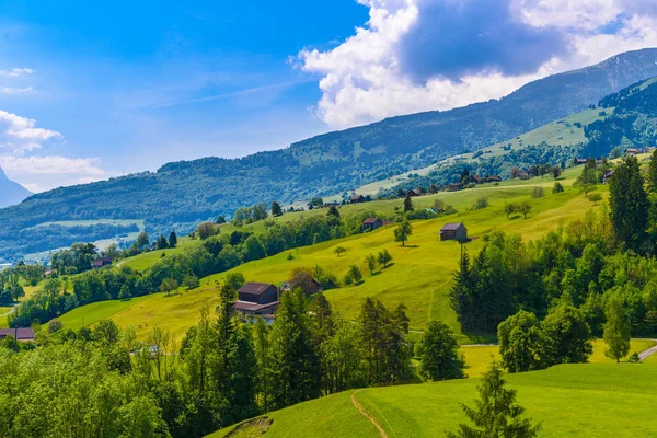 Houten Huisje Huizen Groene Velden Grijpers Werdenberg Gallen Zwitserland — Stockfoto