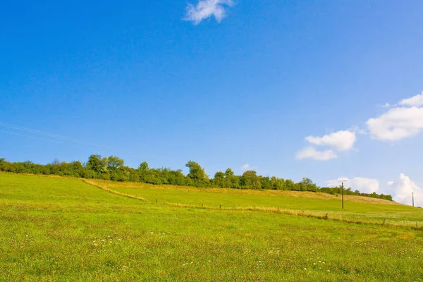 Pradera Idílica Verano — Foto de Stock