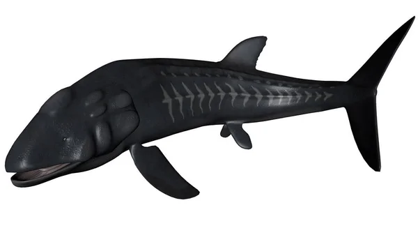 Peces Prehistóricos Leedsichthys Que Apartan Aislados Fondo Blanco Render —  Fotos de Stock