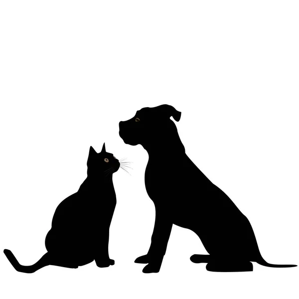 Μαύρη Σιλουέτα Του Σκύλου Και Γάτας — Φωτογραφία Αρχείου