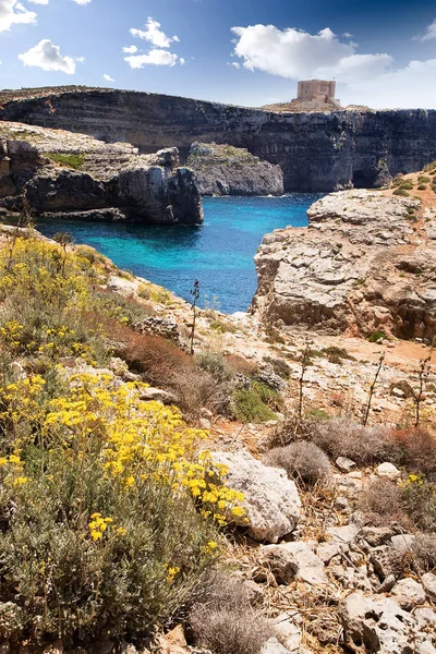 Comino Island Landschap Met — Stockfoto