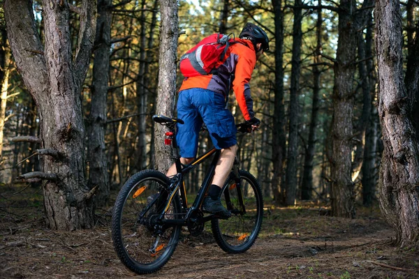 Kerékpáros Lovaglás Bike Trail Gyönyörű Fenyves Erdőben Egészséges Életmód Sport — Stock Fotó